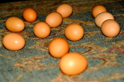 Loose eggs